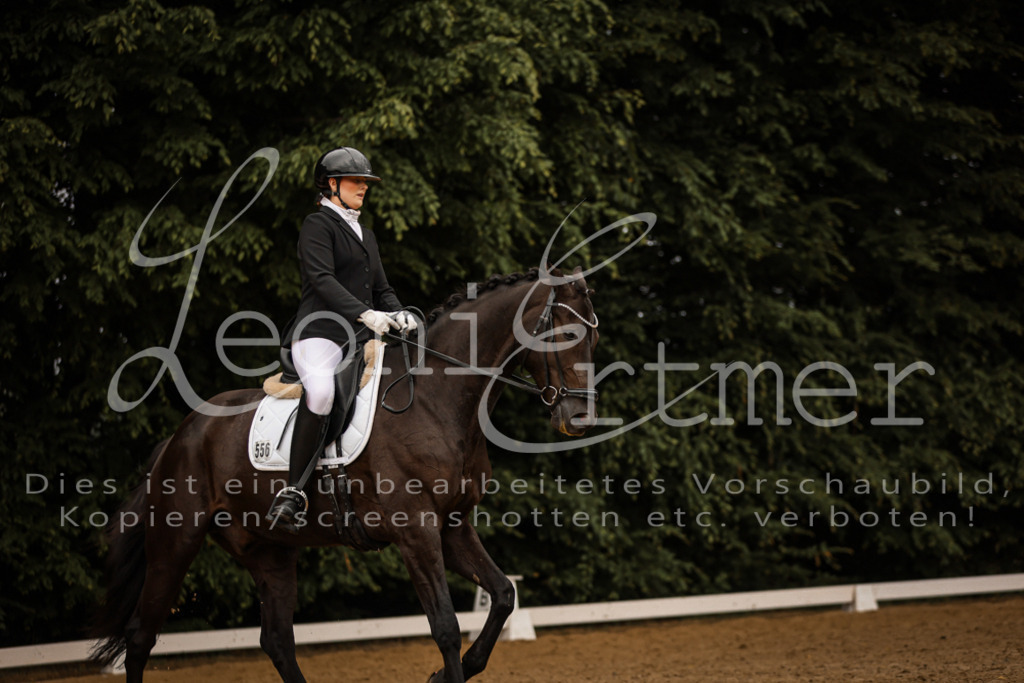 DoDrA200047 | Leoni Ertmer Photography - Realisiert mit Pictrs.com