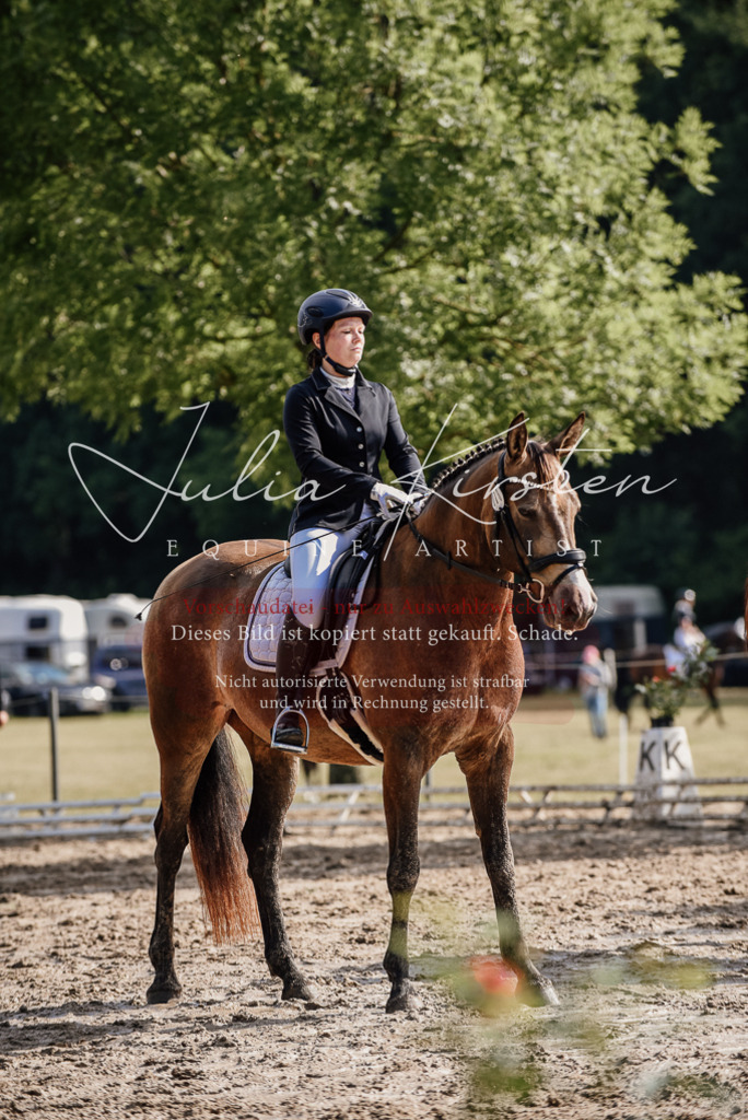DSC_9229 | Pferde- und Turnierfotografie in Westsachsen. Pferdeportraits, Auftragszeichnungen und intuitive Kunst.
