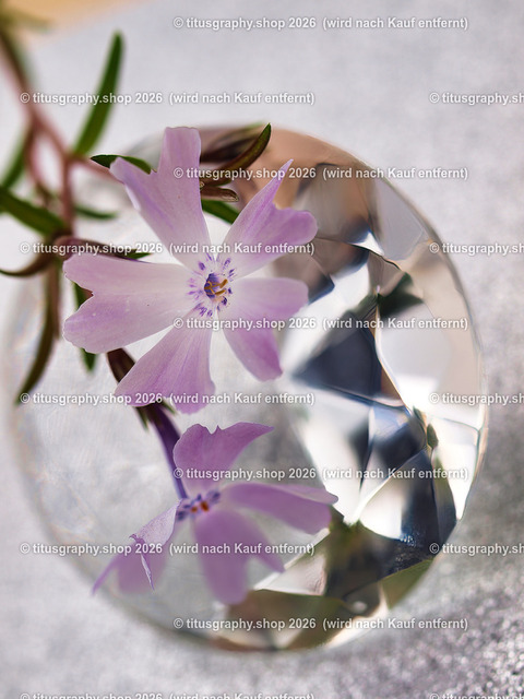 titusgraphy_P5148327-vz-ln | titusgraphy-shop: Geschenkideen mit Qualitätsfotos. titusgraphy-shop: gift ideas with quality photos. titusgraphy-shop: idées cadeaux avec photos de qualité.  - Realisiert mit Pictrs.com