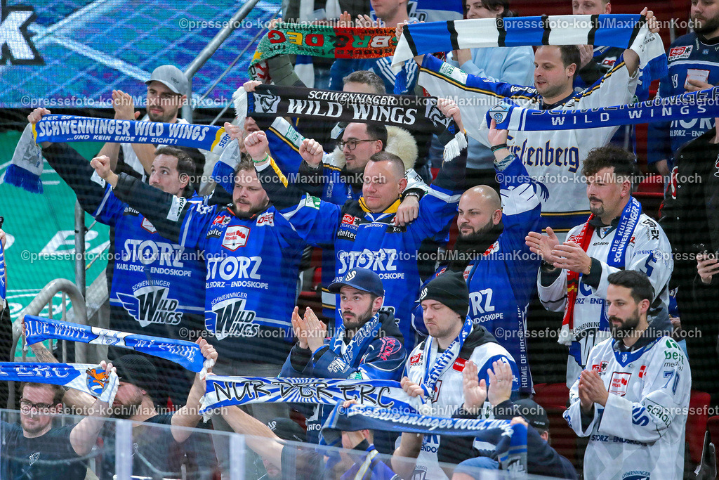 DueDEL02022401087 | 02.02.2024, Düsseldorf, Eishockey, Penny DEL, 45. Spieltag, PSD-BANK Dome, Düsseldorfer EG - Schwenninger Wild Wings: Fans der Schwenninger Wild Wings bedanken sich bei der Mannschaft und halten Fanschals über dem Kopf