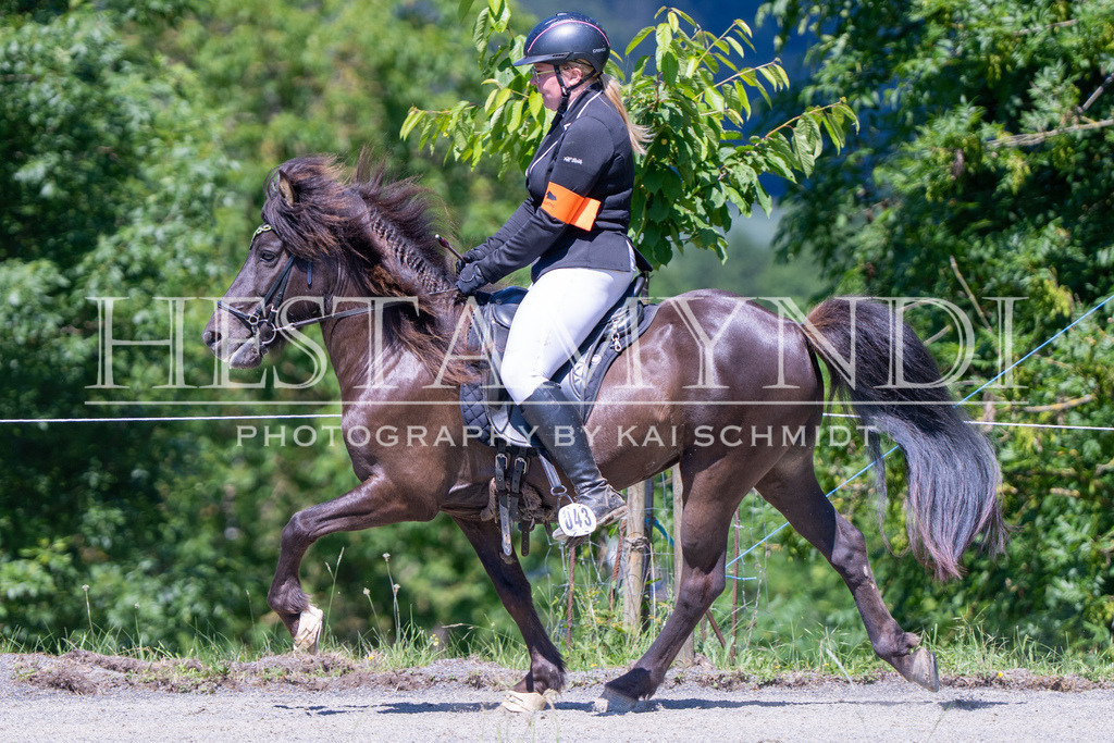 KAI09421 | Ihr sucht einen Fotografen für eure nächste OSI? Ich begleite auch euer Turnier für Islandpferde fotografisch.  - Realisiert mit Pictrs.com