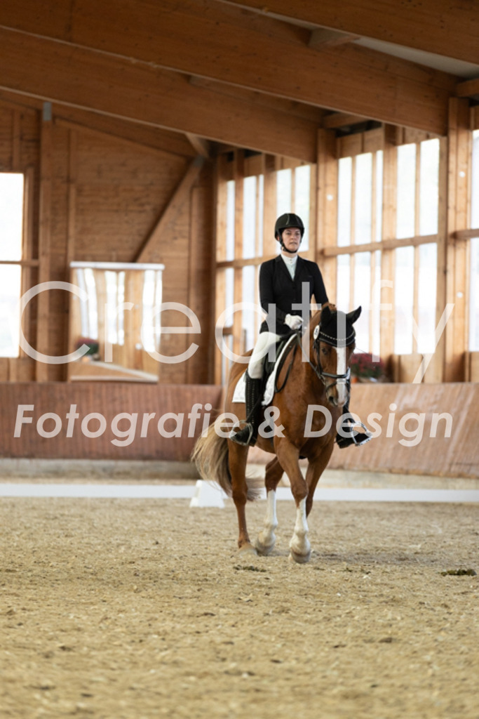 IMG_5766 | Creatify Fotografie