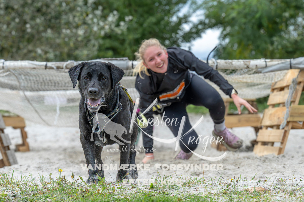 1024_ZZ93949 | kk-dogfotos