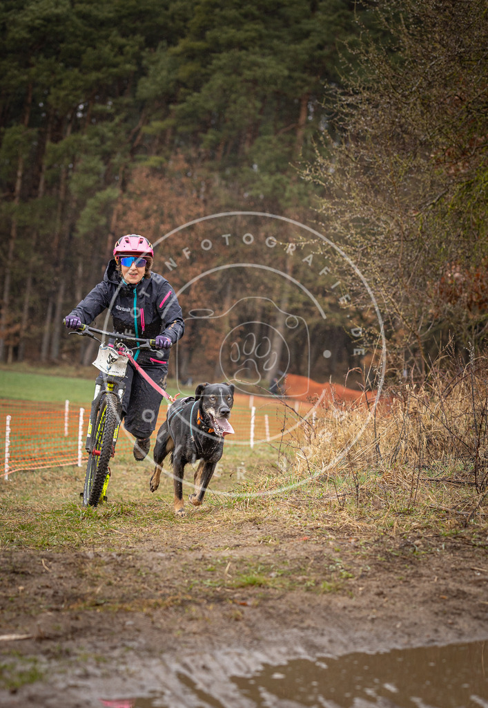 DV3A9487 | Hundefotografie, Tierfotograf, Pfotenfotografie, Fotoshooting Hund, Hunde Portrait, Hundesport, Hundeportraits, Heideshooting, Hunde, Sportfotograf, Hundefotograf, Turnierhundsport, THS,  - Realisiert mit Pictrs.com