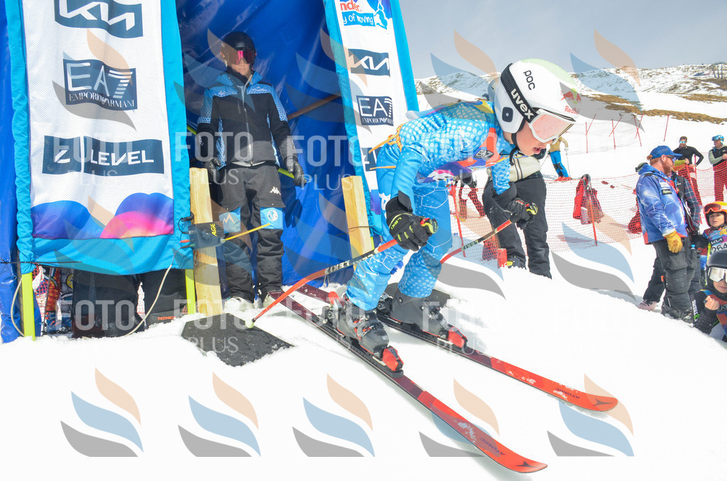 _ELE7468 | holidayphoto