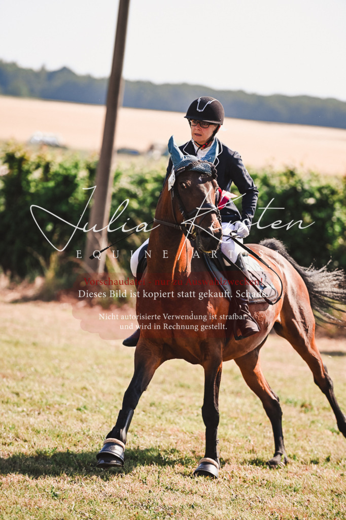 DSC_7391 | Pferde- und Turnierfotografie in Westsachsen. Pferdeportraits, Auftragszeichnungen und intuitive Kunst.