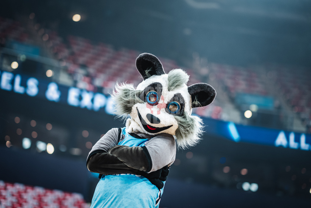 Basketball | Männer | Saison 2023/2024 | easyCredit Basketball Bundesliga | Veolia Towers Hamburg vs. FC Bayern München | 26.03.2024 | Das neue Maskottchen der Hamburg Towers Willy der Waschbär