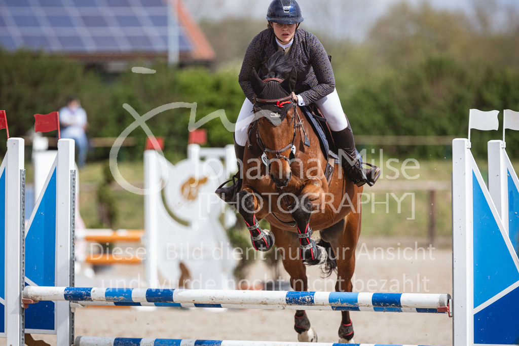 250419_Frühlingsfest_A-Stil1-495 | Deine schönsten Turniermomente als professionelle Fotos! Entdecke hochwertige Pferdesport-Fotografie im Online-Shop. Jetzt Fotos finden & bestellen!