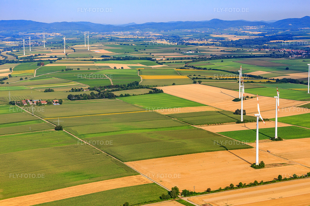 Luftbild: Windkraftanlagen in Minfeld im Bundesland Rheinland-Pfalz in Deutschland. Foto: IMG_108993.jpg vom 15.07.2018 durch Werner Riehm/FLY-FOTO.de