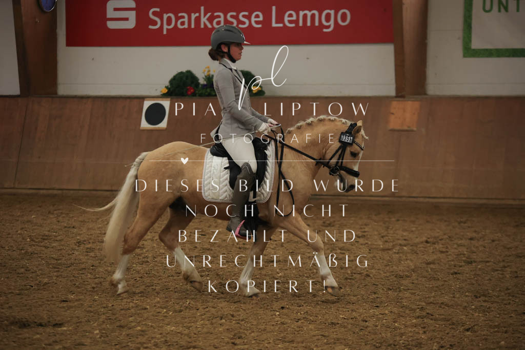 IMGT1206 | pl-fotografie