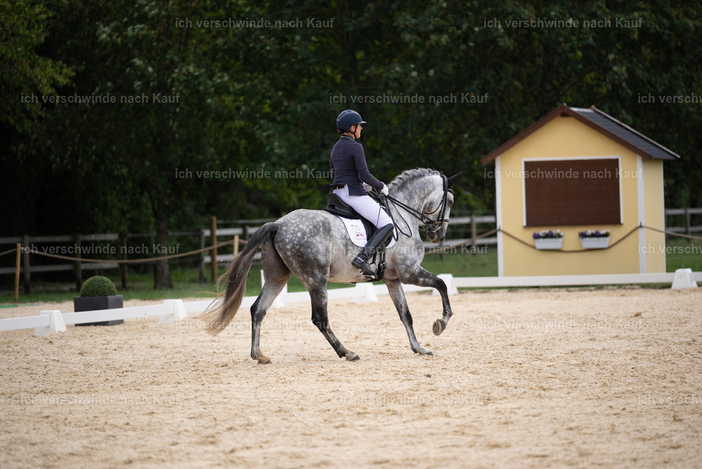 FHC2026_P02_134_15957 | Fichtenhof Classics 2026 – Dressurturnier, Reitanlage Fichtenhof, Schäftlarn