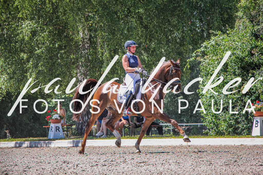 IMG_1379 | Erleben Sie dynamische Sport- und emotionale Tierfotografie in Süddeutschland mit Fotos von Paula. Spezialisiert auf Pferde- und Hundefotografie sowie Sportevents. Kontaktieren Sie mich für einzigartige und ausdrucksstarke Bilder Ihrer besonderen Momente. - Realisiert mit Pictrs.com