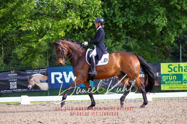 DKP41701 | Turnierfotos kaufen im Webshop von Daniel Kuhl Photography – entdecke professionelle Reitsportfotos aus Turnieren & Events. Hochwertige Turnierbilder online bestellen & sichern. Jetzt Fotos von Reitsportturnieren kaufen!