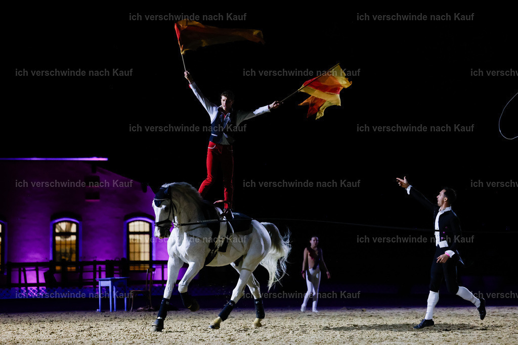 FHClassics-242 | working equitationturnier fotograf videograf stoibphotography marixx film working equitation deutschland reitsport turnierfotografie eventfotografie equestrian events