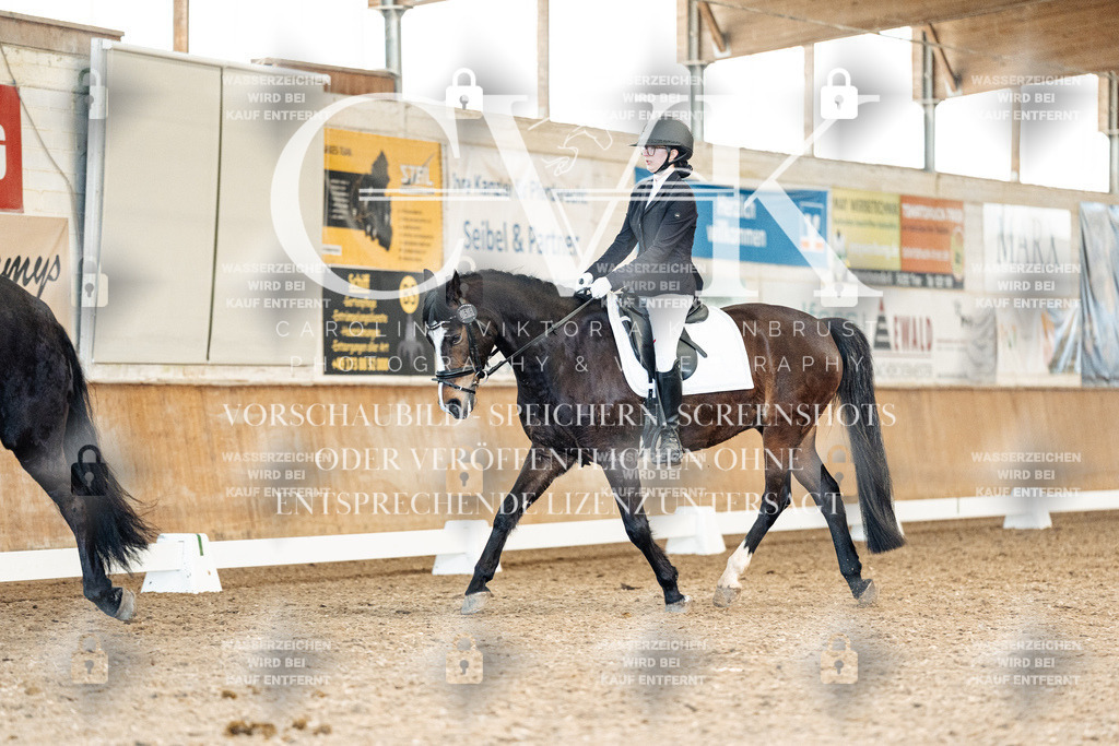 CK909802 | Turnierfotografie Pferdefotografie Trier Rheinland-Pfalz Pferdesport Reitsport Tierfotografie Sportfotografie Pferdevideo Pferdevideografie Equestrianvideography equestrianphotography  - Realisiert mit Pictrs.com