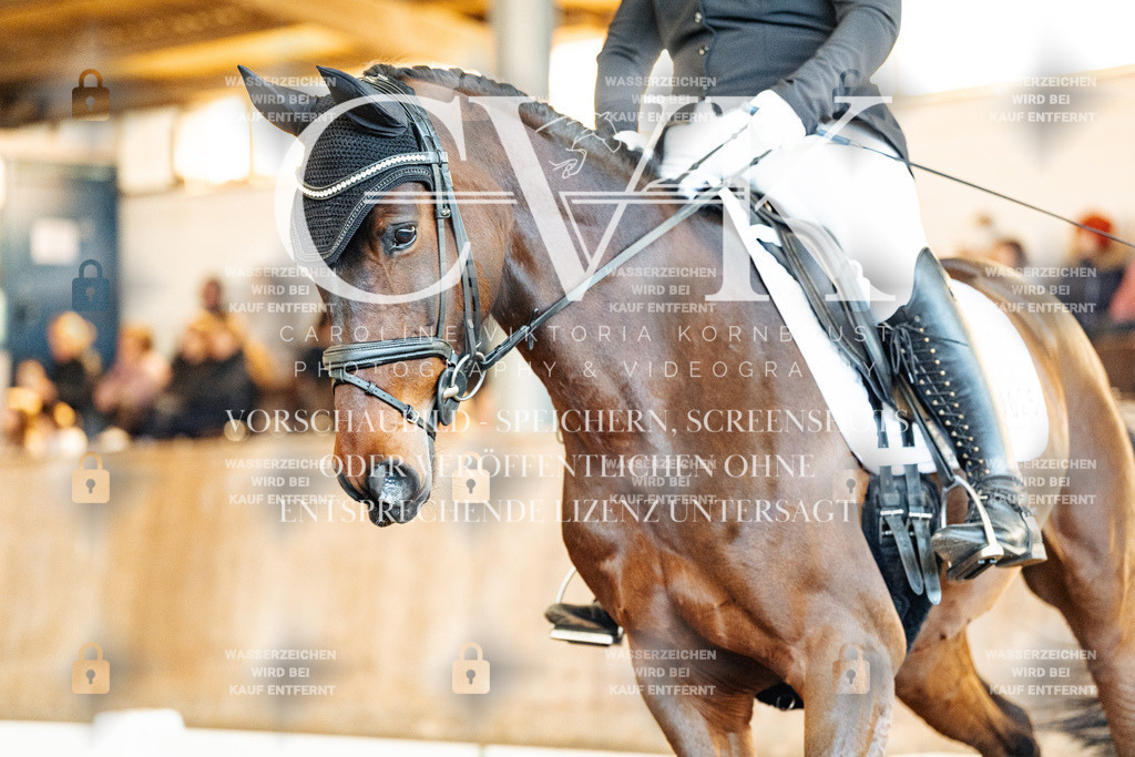 CK909402 | Turnierfotografie Pferdefotografie Trier Rheinland-Pfalz Pferdesport Reitsport Tierfotografie Sportfotografie Pferdevideo Pferdevideografie Equestrianvideography equestrianphotography  - Realisiert mit Pictrs.com