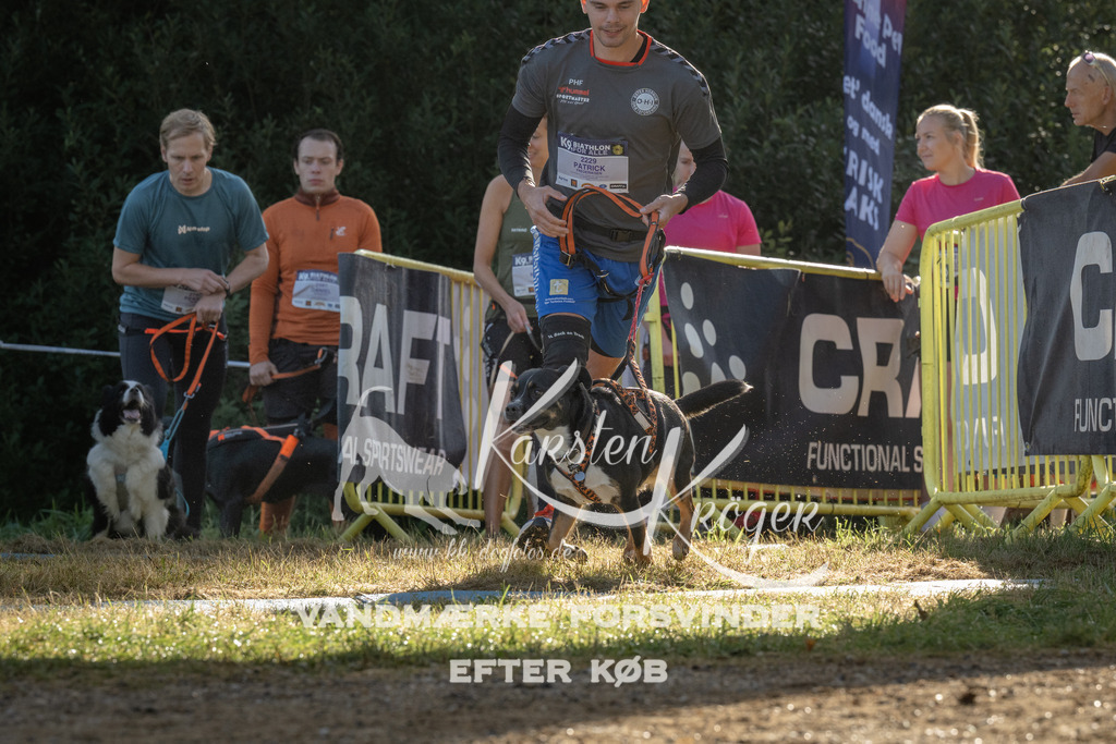 0902_ZZ93759 | kk-dogfotos