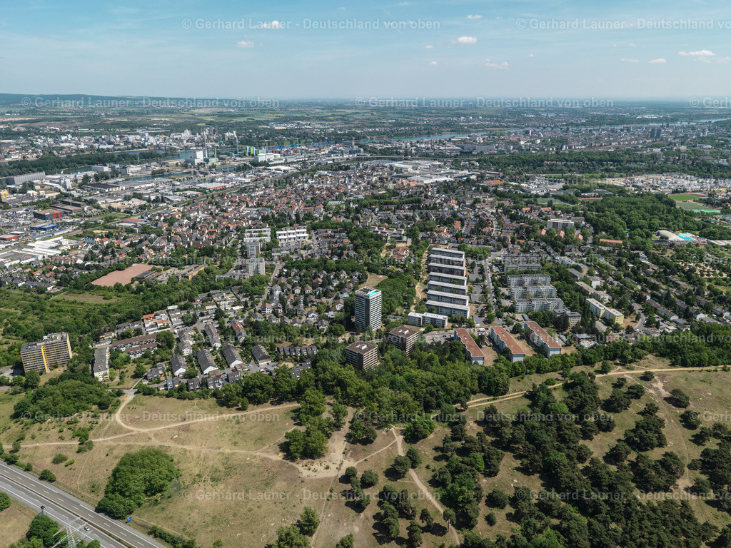 3108097 | Mombach, Mainz