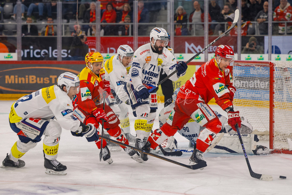 EHCB vs HCAP 20260115_wb-4503 | Sportbilder, Sportfotograf, Hochzeits- und Eventfotografin, Flugshows, Portraits und Tiershooting, Aviation, Downhill, Nationalleague, Swissleague, International