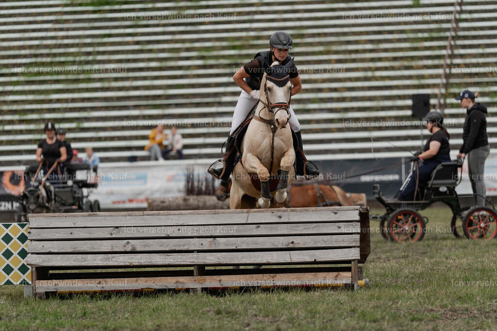 Showprogramm-388 | working equitationturnier fotograf videograf stoibphotography marixx film working equitation deutschland reitsport turnierfotografie eventfotografie equestrian events
