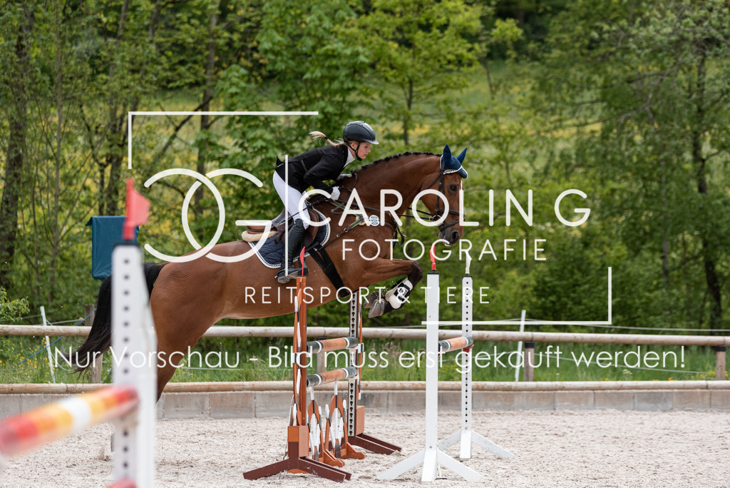DSC_5891 | Turnierfotografin Carolin Gieschke, Turnierfotografie Carolin G Fotografie, Turnierfotos Kirchheim/Teck, Esslingen, Stuttgart, Bodenseekreis