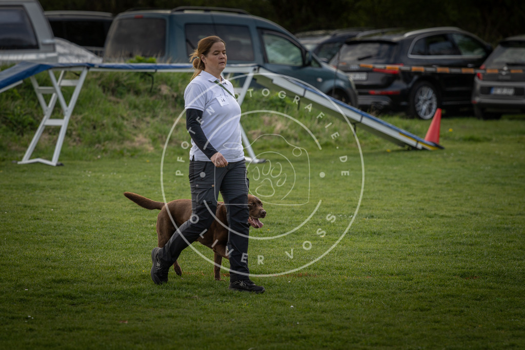 Pfotenfotografie_DV3A4941 | Hundefotografie, Tierfotograf, Pfotenfotografie, Fotoshooting Hund, Hunde Portrait, Hundesport, Hundeportraits, Heideshooting, Hunde, Sportfotograf, Hundefotograf, Turnierhundsport, THS,  - Realisiert mit Pictrs.com