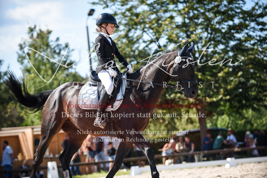 DSC_9566 | Pferde- und Turnierfotografie in Westsachsen. Pferdeportraits, Auftragszeichnungen und intuitive Kunst.