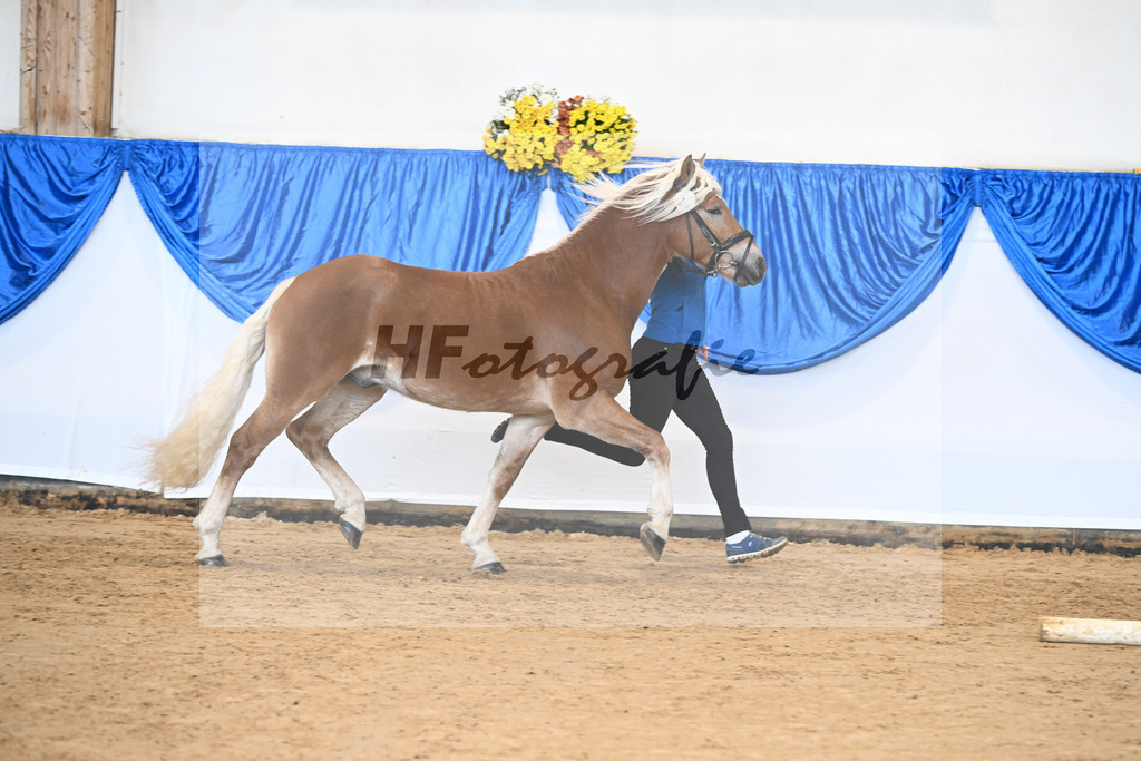 Kat-Nr. 20 nn v. Nakuri_Linder_48250995 | hf-fotografie - Realisiert mit Pictrs.com