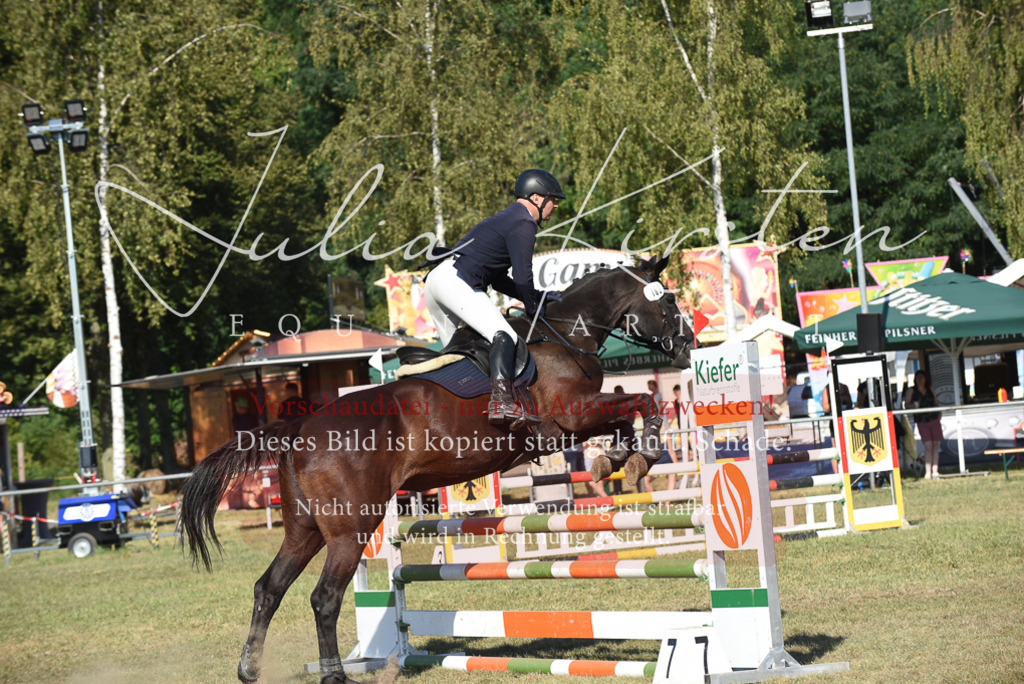 DSC_5346 | Pferde- und Turnierfotografie in Westsachsen. Pferdeportraits, Auftragszeichnungen und intuitive Kunst.