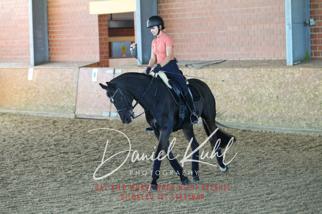 DKP42286 | Turniersportfotografie; Pferdefotografie; Dressurfotografie