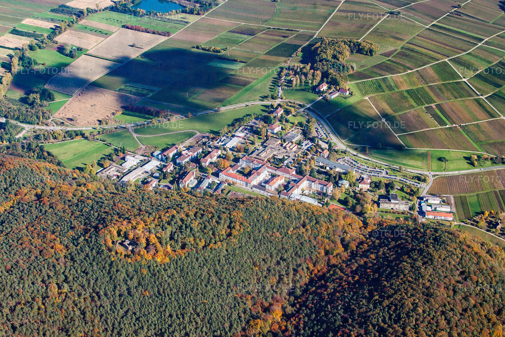Psychatrische Landesklinik Landeck | Luftbild: Psychatrische Landesklinik Landeck in Klingenmünster im Bundesland Rheinland-Pfalz in Deutschland. Foto: IMG_34807.jpg vom 26.10.2010 durch Werner Riehm/FLY-FOTO.de - Realisiert mit Pictrs.com