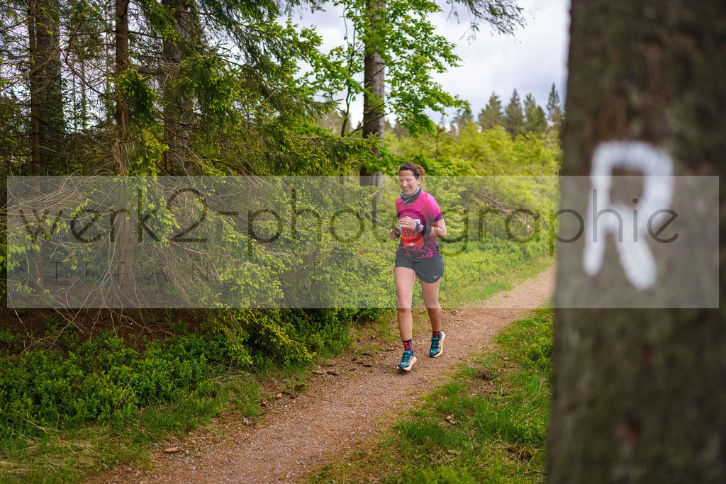 Rennsteiglauf Marathon 2025 | Marathon von Neuhaus/Rwg. nach Schmiedefeld/Rstg. am 17. Mai 2025