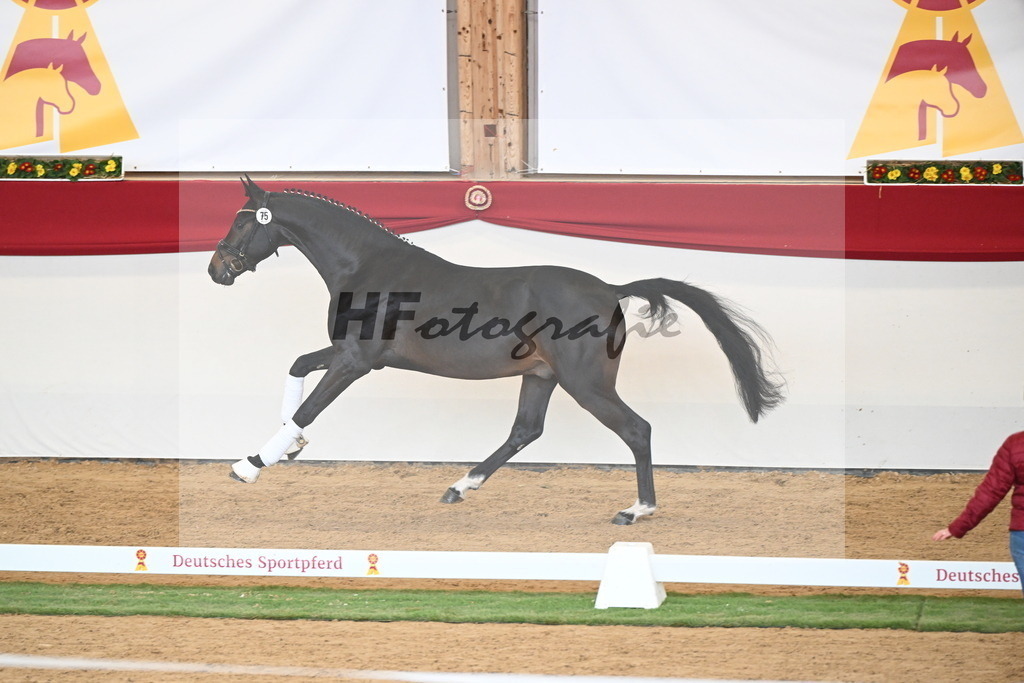 Kat.-Nr. 75 v. Santos_Greim_2250835 | hf-fotografie - Realisiert mit Pictrs.com