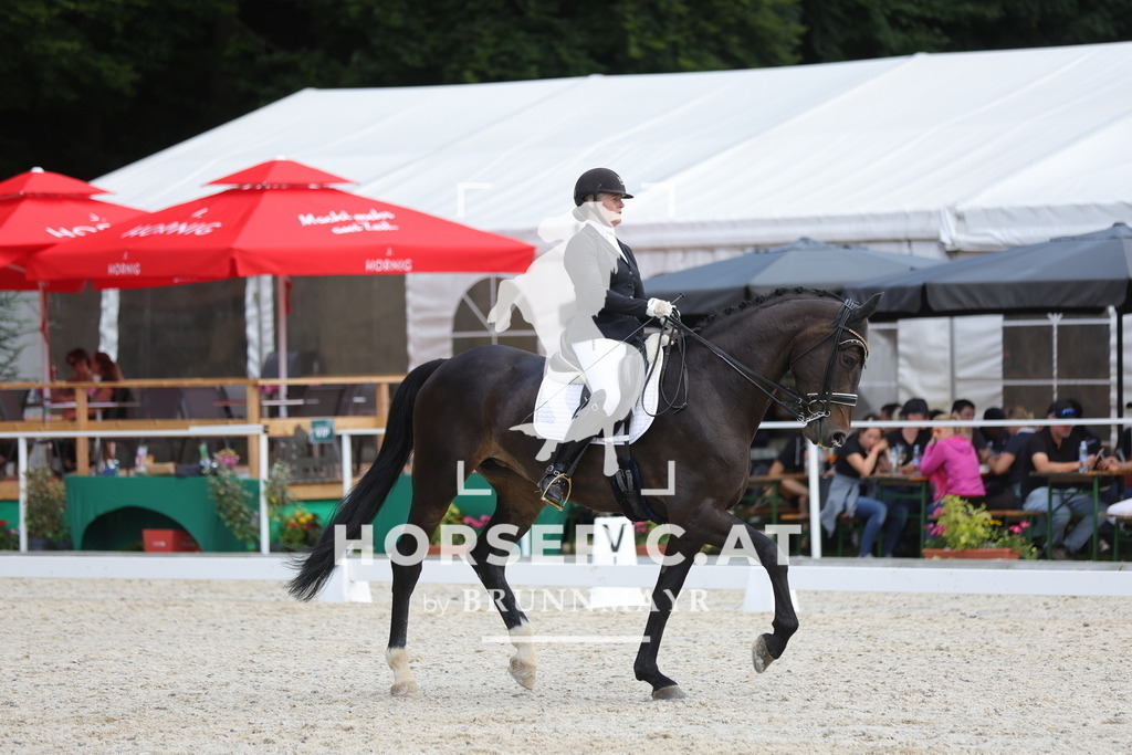 0P6A0248 | Willkommen bei Brunnmayr - Design & Fotografie – Ihrem Spezialisten für Reitturniere und Pferdeveranstaltungen in Oberösterreich, Salzburg und Bayern! Seit über 17 Jahren sind wir leidenschaftlich dabei.