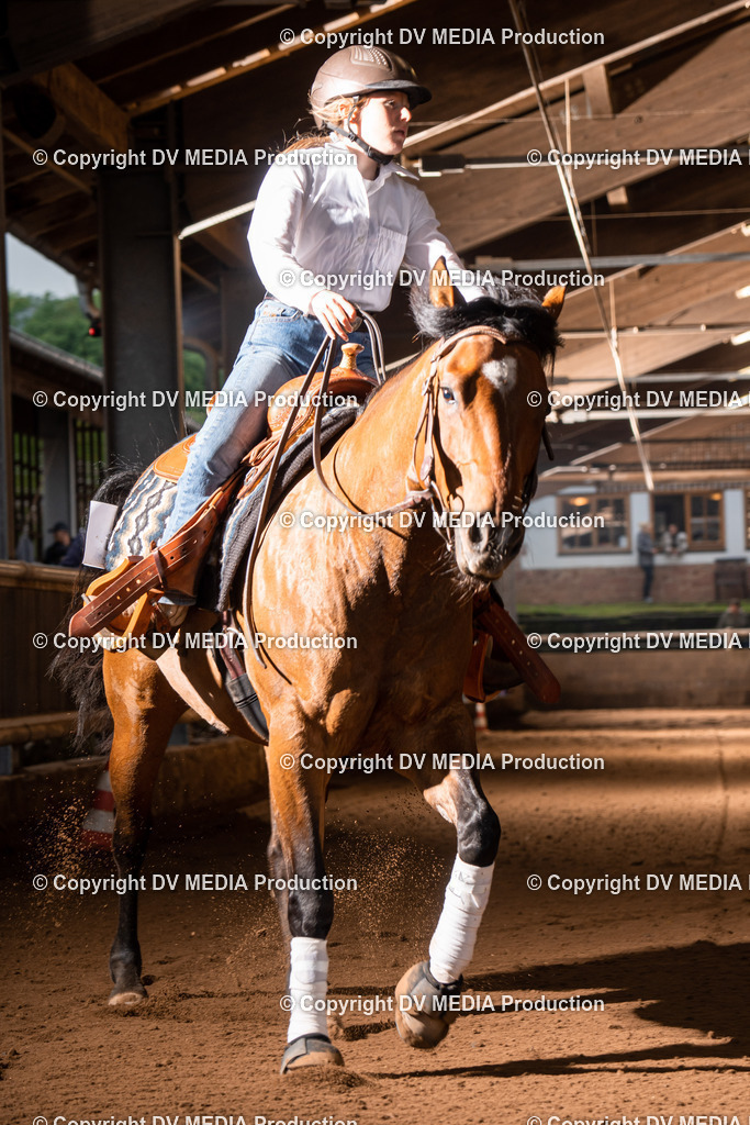 Erbach Tag 3-821 | dv-media-shop - Realisiert mit Pictrs.com