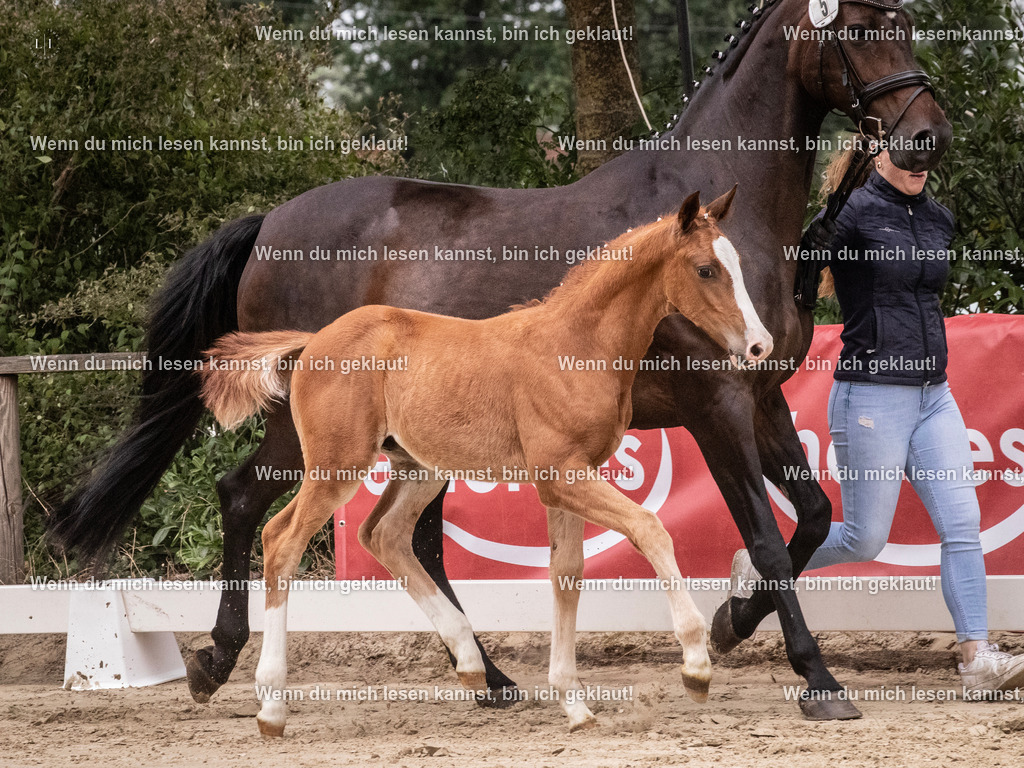 A10I9780 | photographylinaismer - Realisiert mit Pictrs.com