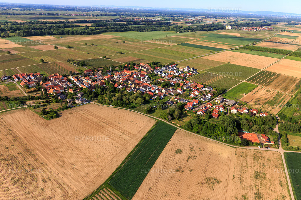 Luftbild: Ortsansicht von Westen in Kleinfischlingen im Bundesland Rheinland-Pfalz in Deutschland. Foto: IMG_126979.jpg vom 02.06.2021 durch Werner Riehm/FLY-FOTO.de