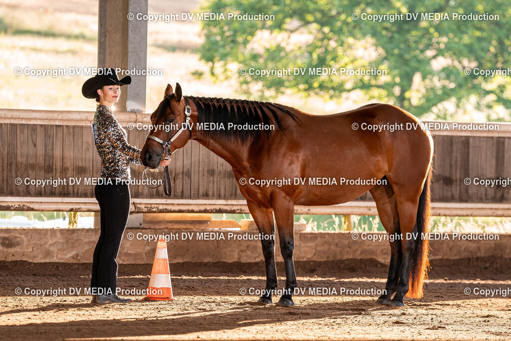 Erbach Tag 3-72 | dv-media-shop - Realisiert mit Pictrs.com