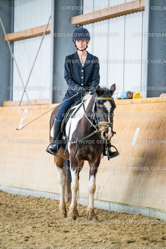 DSC03808 | Pferdegrafie