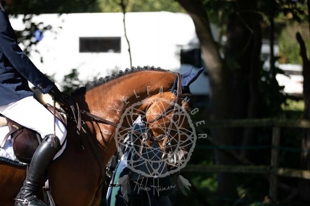 2B4A0228 | pixelfaenger - Realisiert mit Pictrs.com