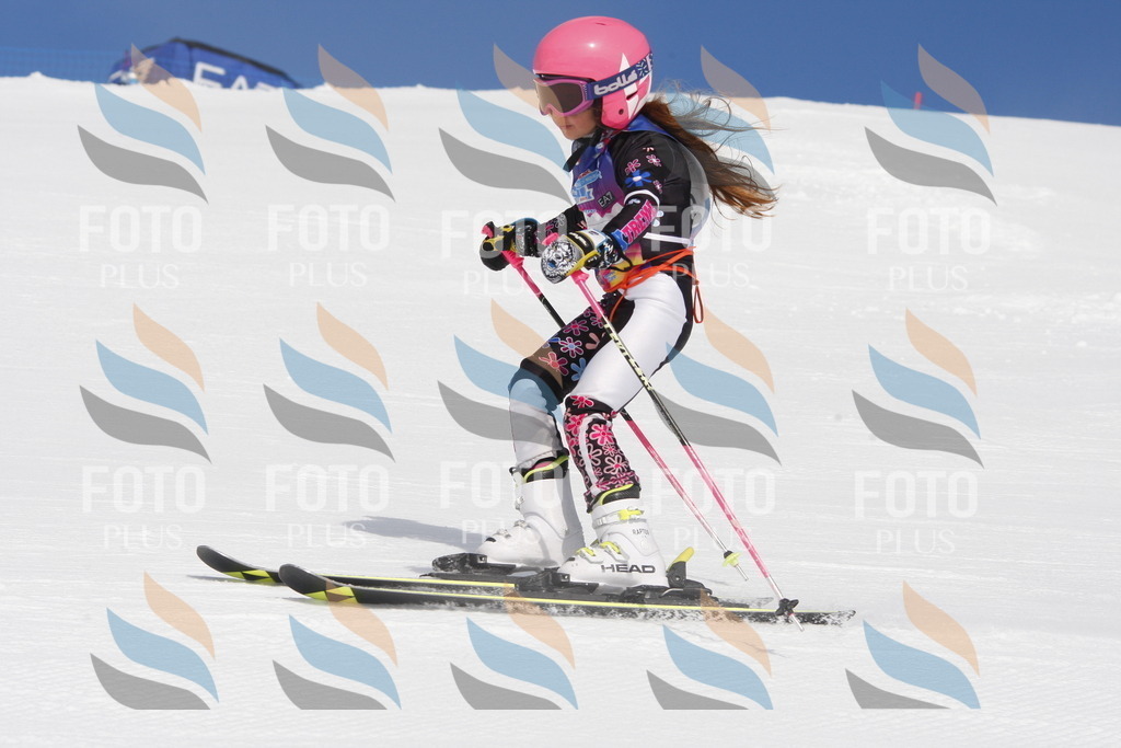 _W1G0537 | holidayphoto