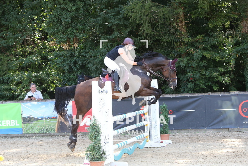 DL2Q1242 | Willkommen bei Brunnmayr - Design & Fotografie – Ihrem Spezialisten für Reitturniere und Pferdeveranstaltungen in Oberösterreich, Salzburg und Bayern! Seit über 17 Jahren sind wir leidenschaftlich dabei.