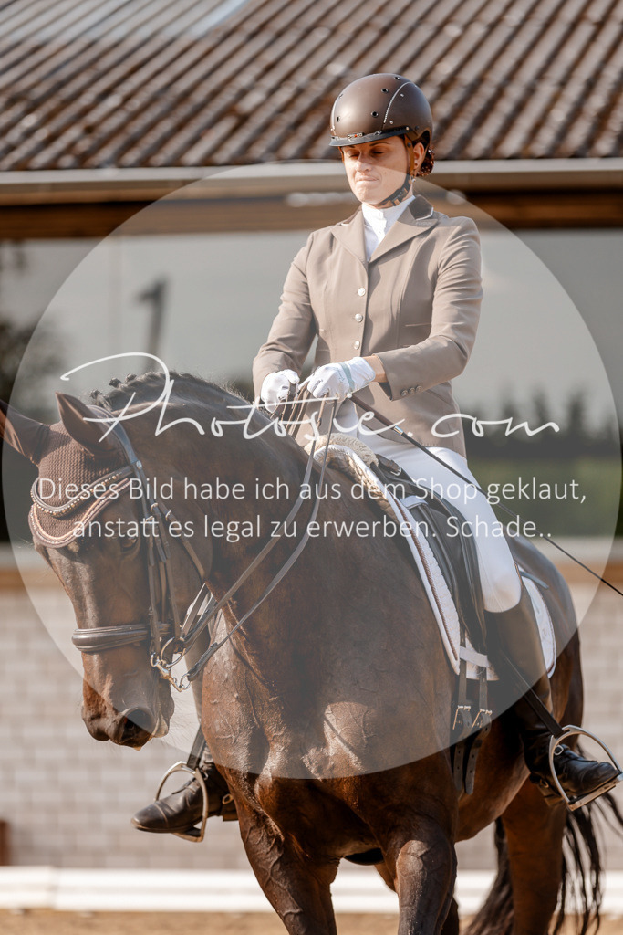 3I6A3070 | Stimmungsvolle Portraits und Reitsportfotografie im Ruhrgebiet und im Münsterland.

Pferdefotografie, Hundefotografie, Tierfotografie, Reportagen, Portraits von Tier und Mensch, Turnierfotografie in Bochum, Recklinghausen, Marl, Haltern am See, Dülmen.. - Realisiert mit Pictrs.com