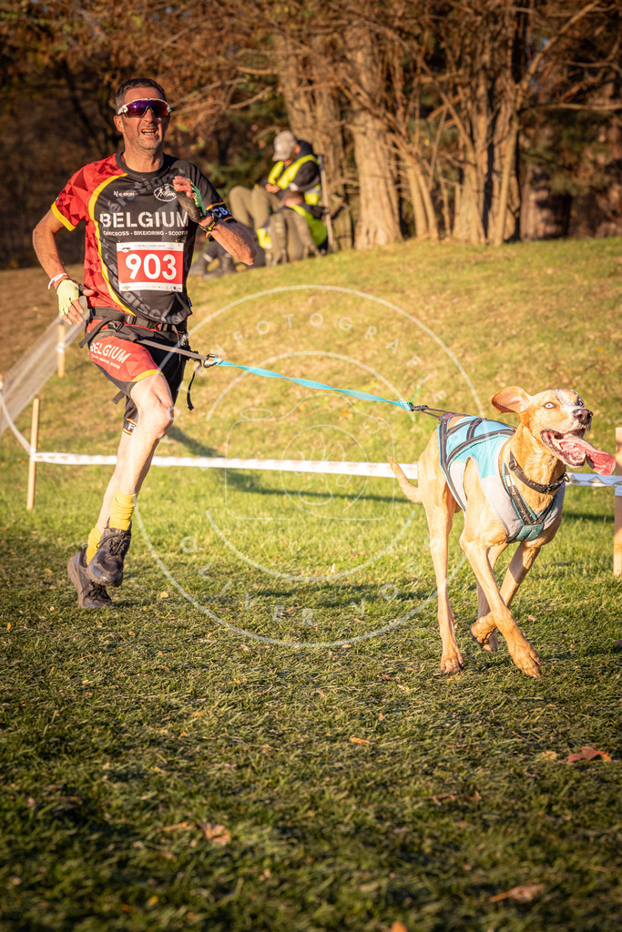 CaniXpix_0L8A1387 | Hundefotografie, Tierfotograf, Pfotenfotografie, Fotoshooting Hund, Hunde Portrait, Hundesport, Hundeportraits, Heideshooting, Hunde, Sportfotograf, Hundefotograf, Turnierhundsport, THS,  - Realisiert mit Pictrs.com