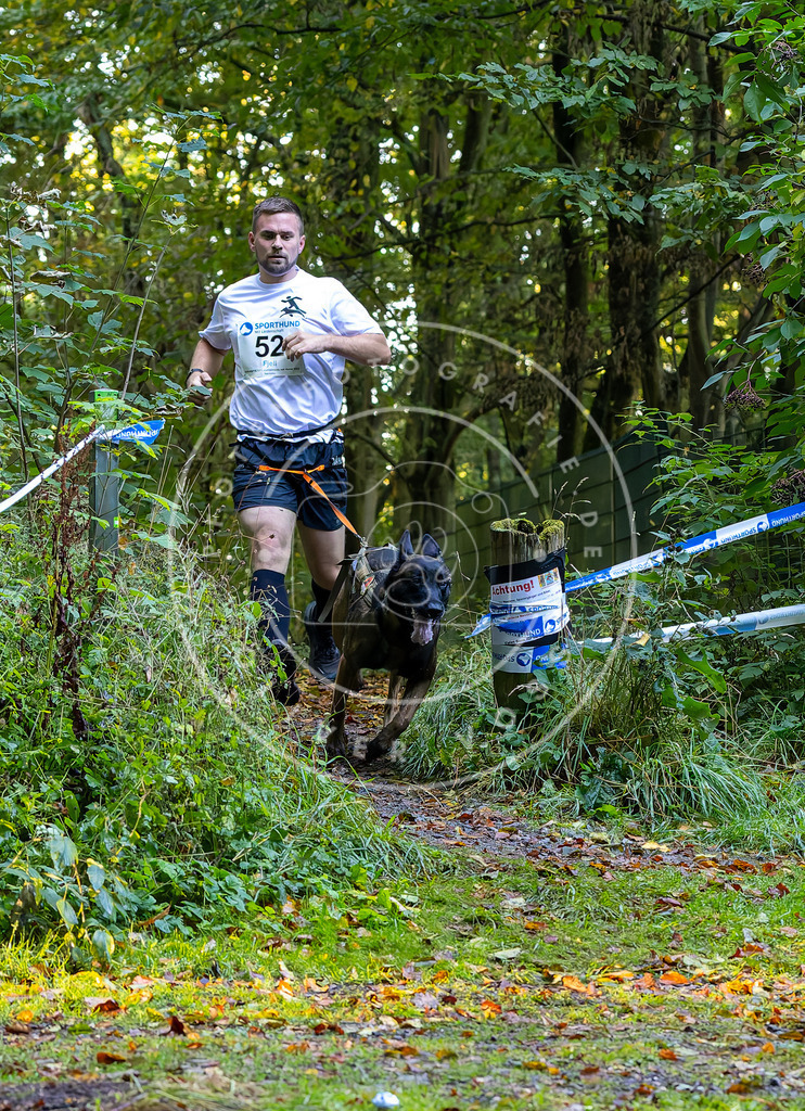 Pfotenfotografie_DV3A7026 | Hundefotografie, Tierfotograf, Pfotenfotografie, Fotoshooting Hund, Hunde Portrait, Hundesport, Hundeportraits, Heideshooting, Hunde, Sportfotograf, Hundefotograf, Turnierhundsport, THS,  - Realisiert mit Pictrs.com