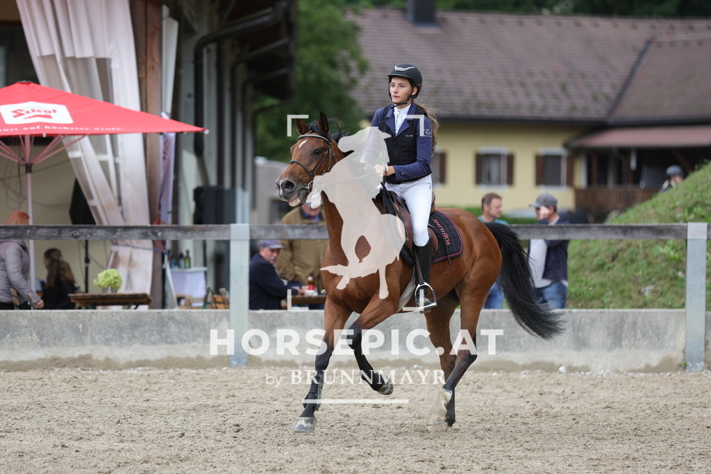 0P6A2626 | Willkommen bei Brunnmayr - Design & Fotografie – Ihrem Spezialisten für Reitturniere und Pferdeveranstaltungen in Oberösterreich, Salzburg und Bayern! Seit über 17 Jahren sind wir leidenschaftlich dabei.
