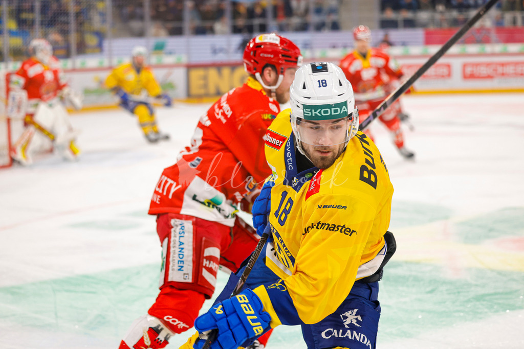 EHCB vs HCD 20260106_wb-0986 | Sportbilder, Sportfotograf, Hochzeits- und Eventfotografin, Flugshows, Portraits und Tiershooting, Aviation, Downhill, Nationalleague, Swissleague, International