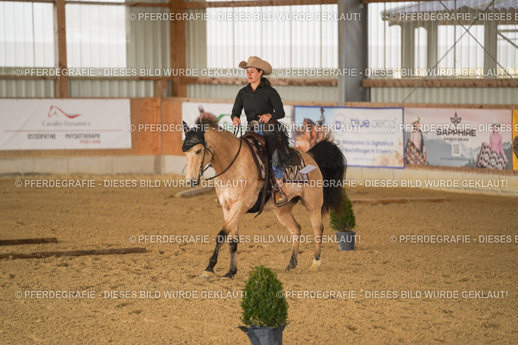 DSC01439 | Pferdegrafie