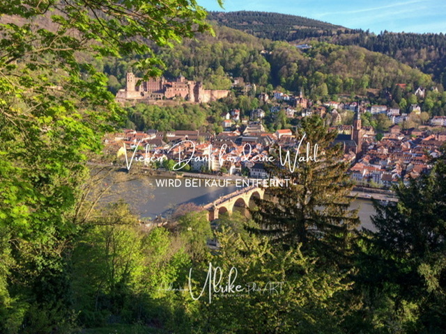 IMG_7055 | Fotografie für »mehr« Persönlichkeit ... von Anfang an - authentisch natürlich emotional - Geburt, Kinder und Familie, Entrepreneure, Kreative, Kamera-Scheue, Interessierte. Mit Empathie und ohne Posen erstelle ich Bilder mit "Wieder-Erkennungs-Gefühl".