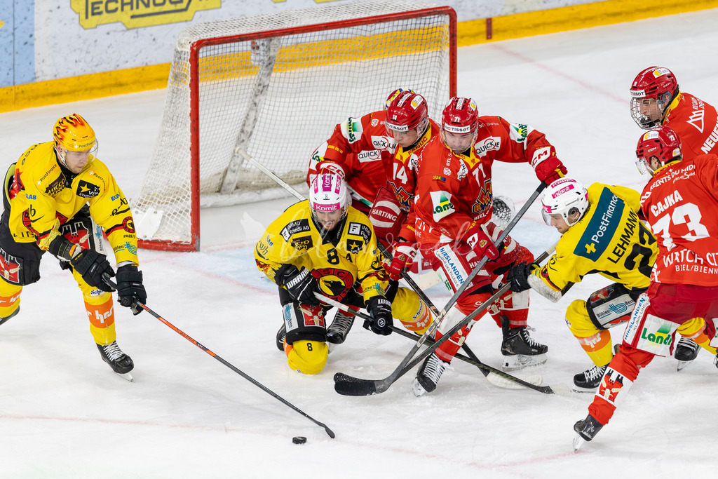 EHCB vs SCB 20260312_wb-4176 | Sportbilder, Sportfotograf, Hochzeits- und Eventfotografin, Flugshows, Portraits und Tiershooting, Aviation, Downhill, Nationalleague, Swissleague, International